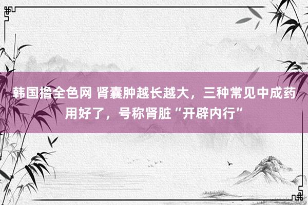 韩国撸全色网 肾囊肿越长越大，三种常见中成药用好了，号称肾脏“开辟内行”