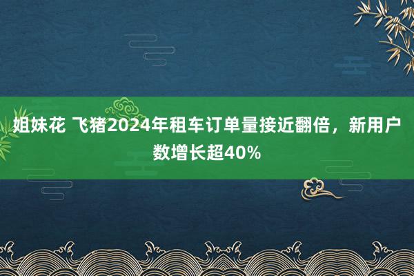 姐妹花 飞猪2024年租车订单量接近翻倍，新用户数增长超40%