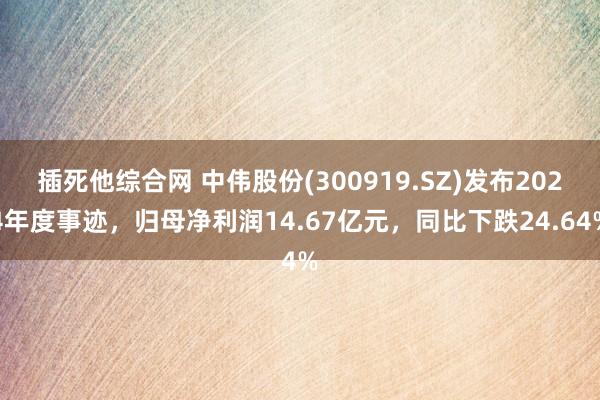 插死他综合网 中伟股份(300919.SZ)发布2024年度事迹，归母净利润14.67亿元，同比下跌24.64%